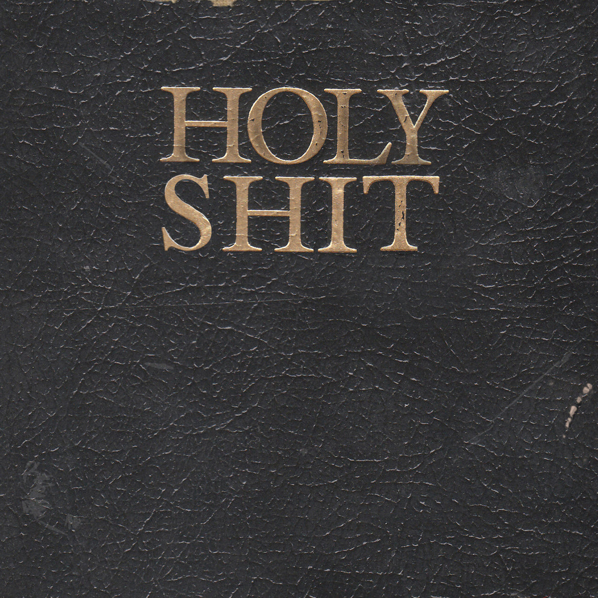 Living With Lions - Holy Shit - Vinyl LP (2011) - Redfield Records