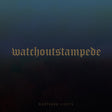 Watch Out Stampede - Northern Lights (2019) - Redfield Records