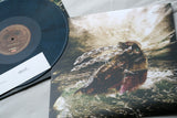 Iron Walrus - Insidious Black Sea - Vinyl LP (2014) - Redfield Records