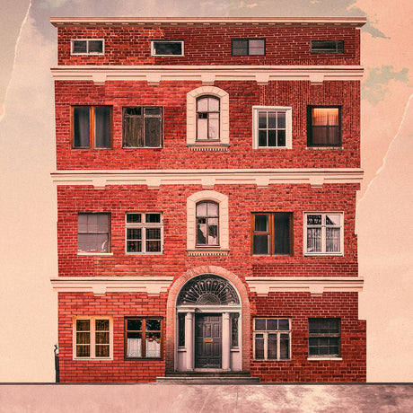 Living With Lions - Island - Cloudy Clear Vinyl LP (2018) - Redfield Records