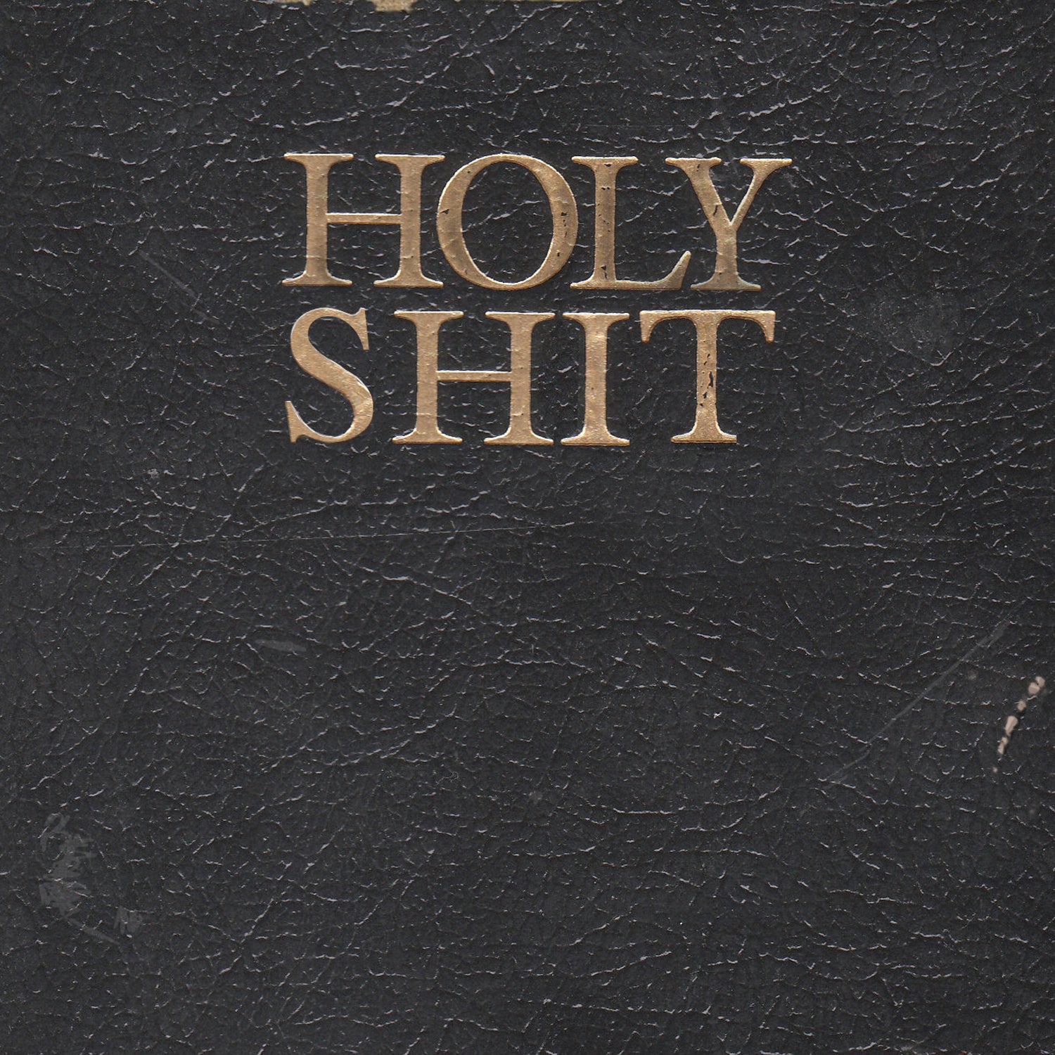 Living With Lions - Holy Shit - CD (2011) - Redfield Records