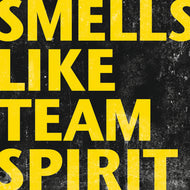 Team Stereo - Smells Like Team Spirit - CD (2011) - Redfield Records