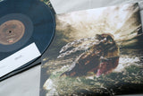 Iron Walrus - Insidious Black Sea - Vinyl LP (2014) - Redfield Records