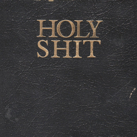 Living With Lions - Holy Shit - Vinyl LP (2011) - Redfield Records